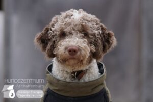 Hutamix-25-02-w10-013