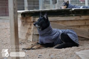 Hutamix-25-02-w10-014