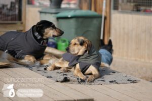 Hutamix-25-02-w10-017