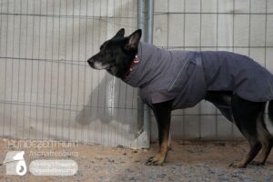 Hutamix-25-02-w10-018