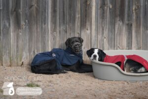 Hutamix-25-02-w10-020