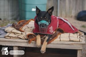 Hutamix-25-02-w10-021