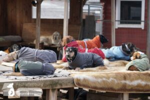 Hutamix-25-02-w10-022