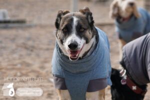 Hutamix-25-02-w10-023