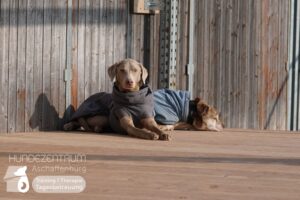 Hutamix-25-02-w10-025