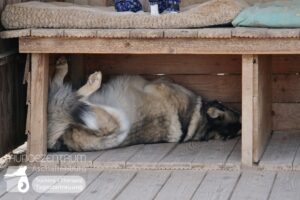 Hutamix-25-02-w10-026