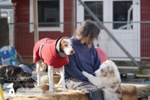 Hutamix-25-02-w10-028