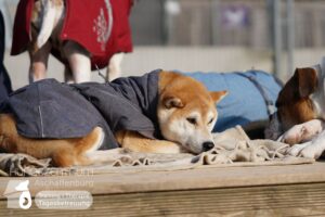 Hutamix-25-02-w10-030