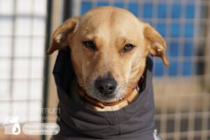 Hutamix-25-02-w10-031