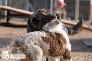 Hutamix-25-02-w10-032