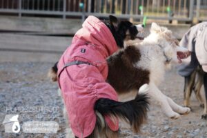 Hutamix-25-02-w10-033