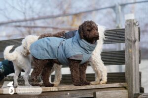 Hutamix-25-02-w10-037