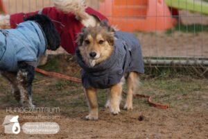 Hutamix-25-02-w10-038