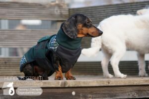 Hutamix-25-02-w10-039