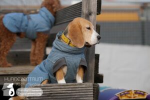 Hutamix-25-02-w10-040