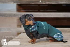 Hutamix-25-02-w10-041