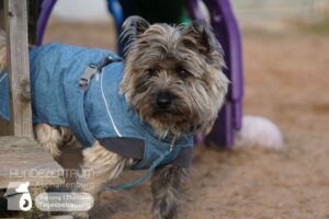 Hutamix-25-02-w10-043