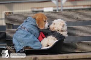 Hutamix-25-02-w10-044