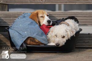 Hutamix-25-02-w10-045