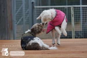 Hutamix-25-02-w10-047