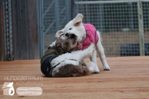 Hutamix-25-02-w10-049