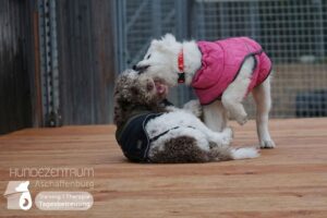 Hutamix-25-02-w10-050