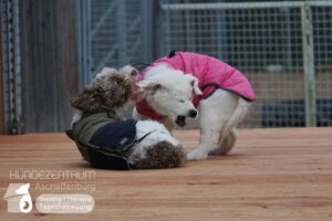 Hutamix-25-02-w10-051