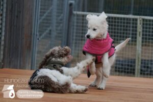 Hutamix-25-02-w10-052