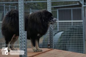 Hutamix-25-02-w10-053