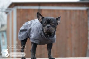 Hutamix-25-02-w10-054