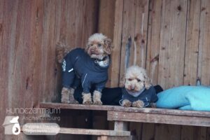 Hutamix-25-02-w10-055