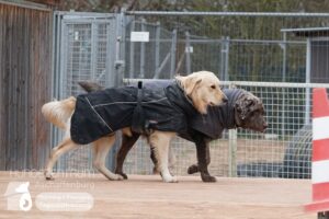 Hutamix-25-02-w10-056