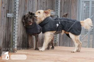 Hutamix-25-02-w10-057