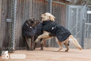 Hutamix-25-02-w10-058