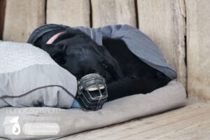 Hutamix-25-02-w10-059