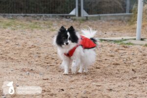 Hutamix-25-02-w10-060