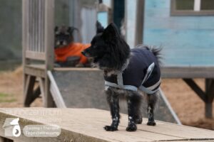 Hutamix-25-02-w10-061