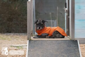 Hutamix-25-02-w10-062