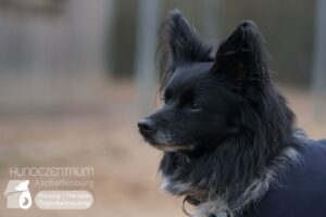 Hutamix-25-02-w10-063