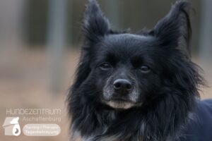 Hutamix-25-02-w10-064