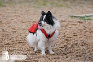 Hutamix-25-02-w10-065