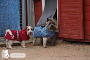 Hutamix-25-02-w10-066