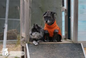 Hutamix-25-02-w10-067