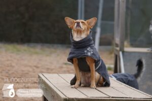 Hutamix-25-02-w10-068