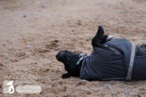 Hutamix-25-02-w10-069