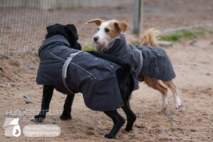 Hutamix-25-02-w10-071