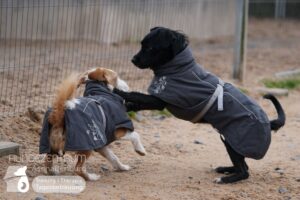 Hutamix-25-02-w10-072