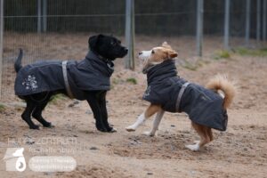 Hutamix-25-02-w10-073