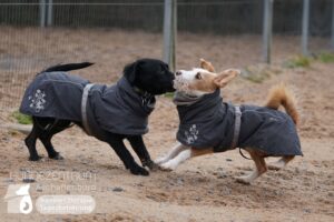 Hutamix-25-02-w10-074