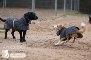 Hutamix-25-02-w10-075